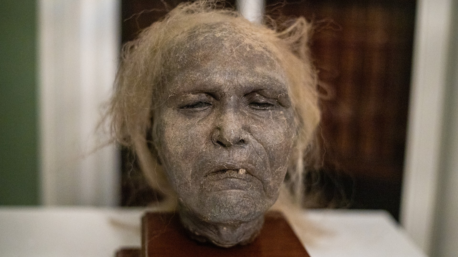 El museo del terror