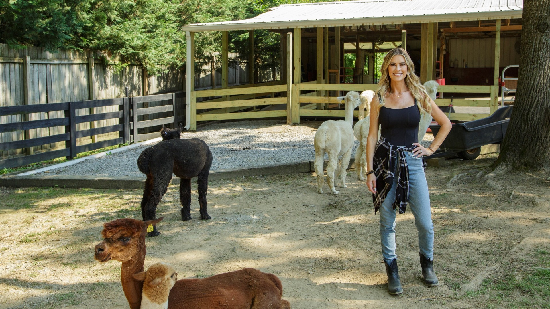 Reformas en el campo con Christina